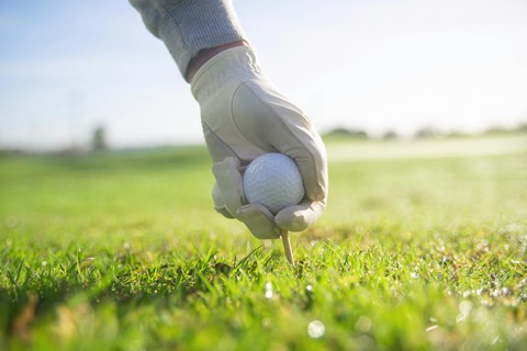 a person holding a golf ball on a tee