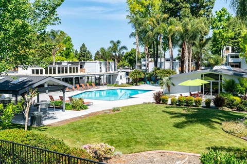 A pool surrounded by a green lawn and trees.