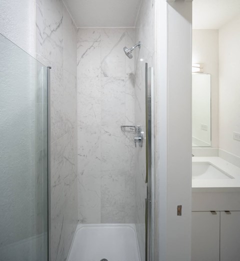 a bathroom with a shower and a sink