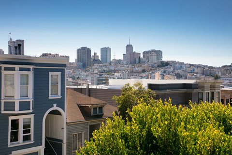 a view of the san francisco skyline