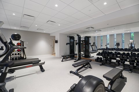 A spacious gym with a variety of equipment including treadmills, weights, and benches.