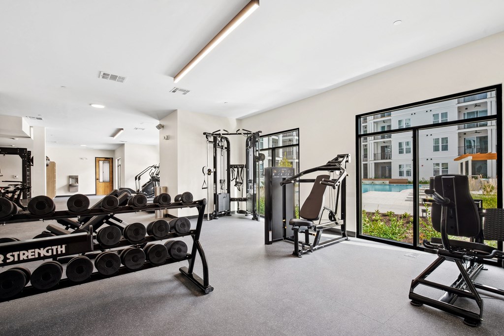 a gym with weights and a large window and a swimming pool