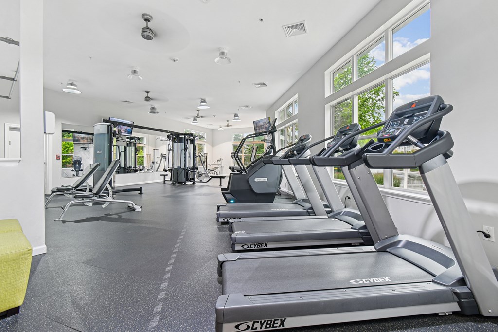 A gym with treadmills and other exercise equipment.