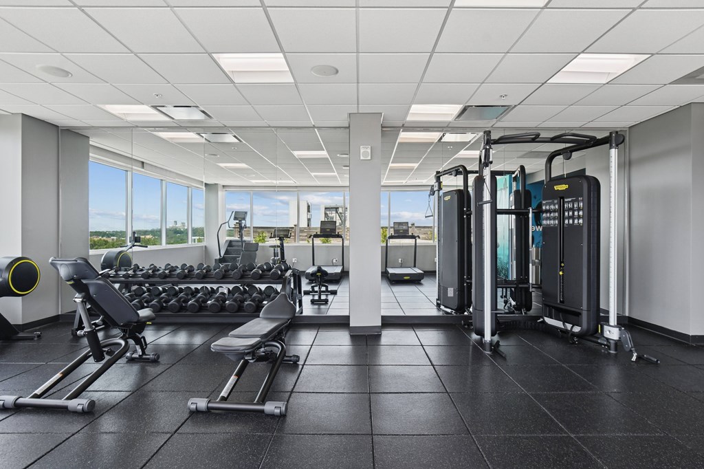 A gym with a row of treadmills and a row of dumbbells.