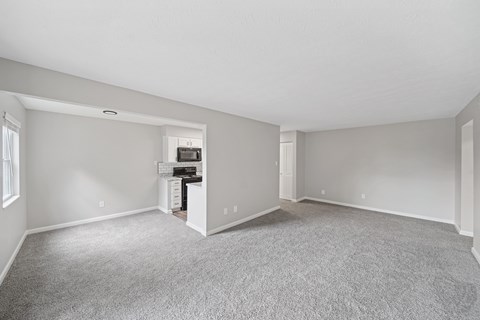 A room with a grey carpet and white walls.