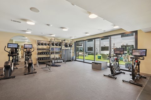 A spacious gym with a variety of exercise equipment.