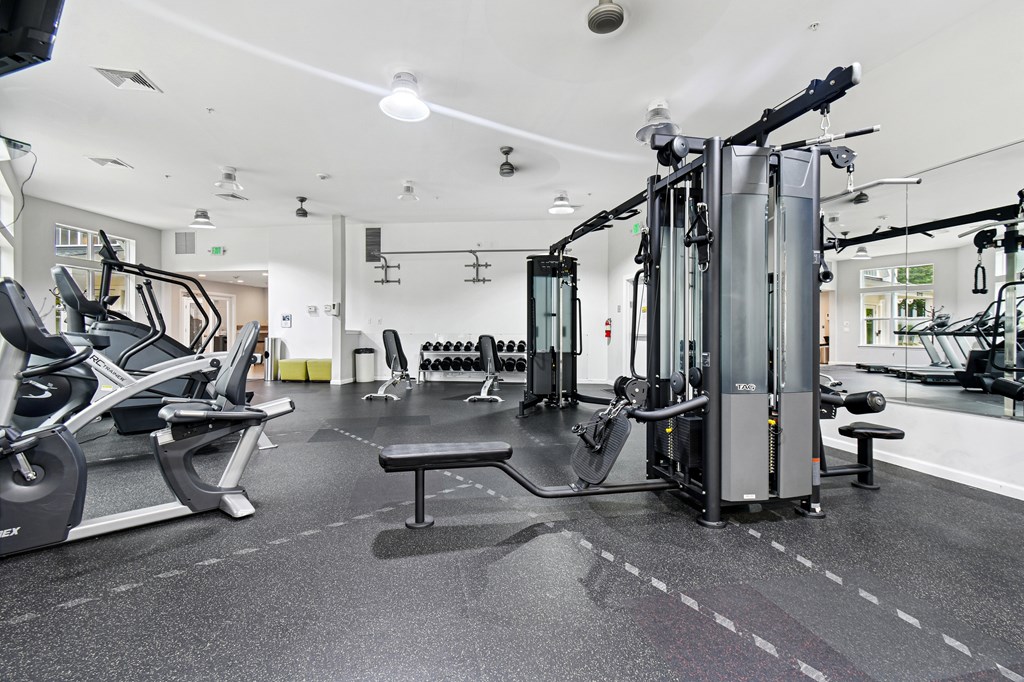 A gym with a variety of equipment including treadmills, weights, and exercise machines.