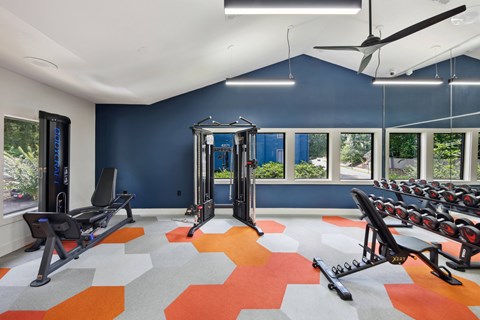 A gym with a variety of equipment including treadmills, weights, and a rowing machine.