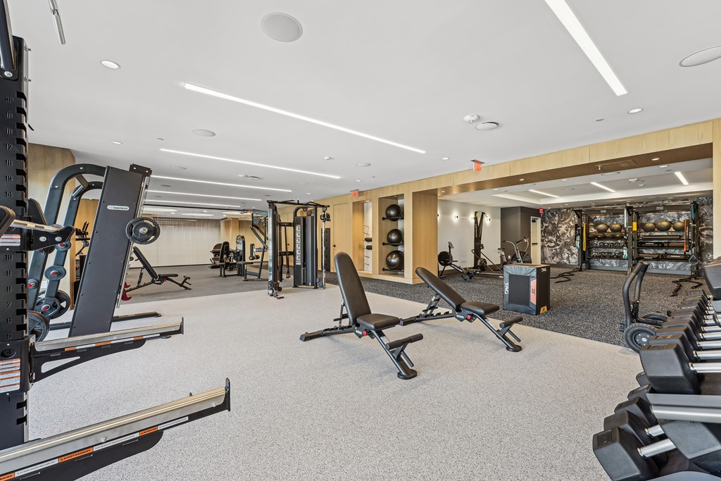 Next-generation fitness suite, including spaces for HIIT, strength training, and cardio