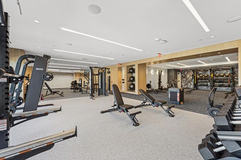 Next-generation fitness suite, including spaces for HIIT, strength training, and cardio