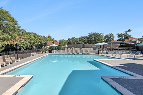 A large outdoor swimming pool surrounded by lounge chairs and trees.
