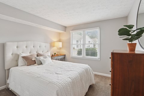 A bedroom with a large bed and a potted plant on a dresser.