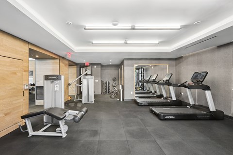 A gym with treadmills, weights, and exercise equipment.
