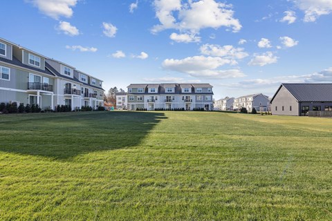A grassy field with apartment buildings in the background.