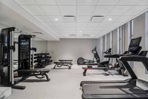 A spacious gym with a variety of equipment including treadmills, weights, and exercise machines.