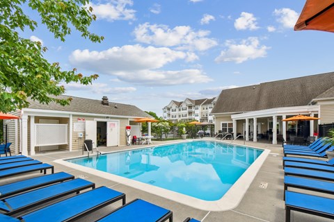 A pool surrounded by sun loungers and umbrellas.