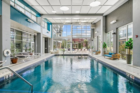 A large indoor swimming pool with a glass wall on one side.