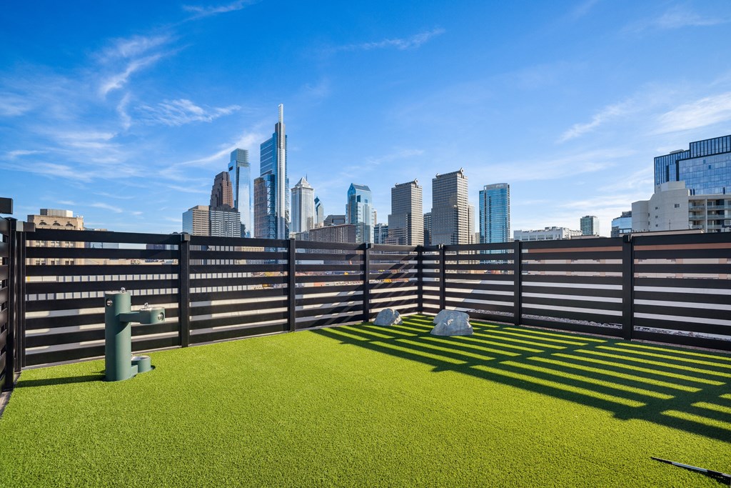 a view of the skyline of the city from a rooftop dog park