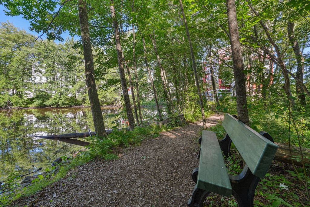 a bench on a trail next to a body of water