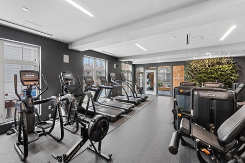 A gym with treadmills, elliptical machines, and other exercise equipment.