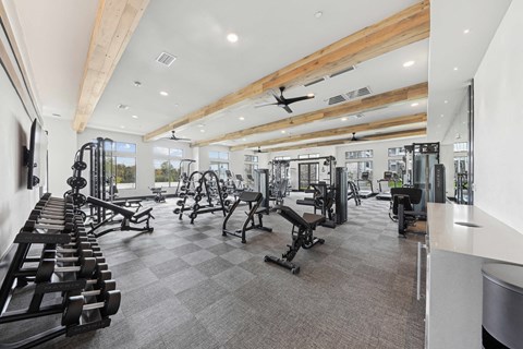 A gym with a variety of equipment including weights and cardio machines.