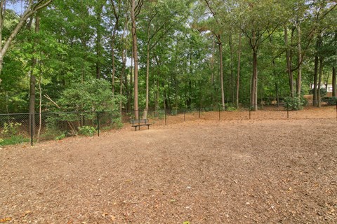 Park with bench and trees at Greenhouse Apartments, Kennesaw, Georgia