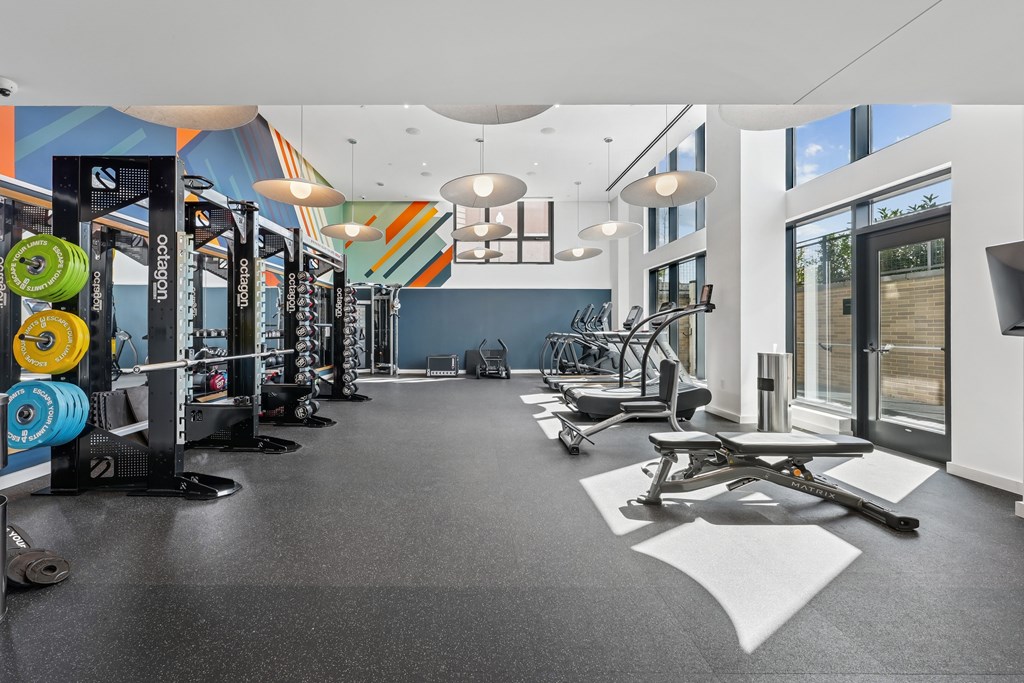 A gym with a variety of equipment including weights and weight machines.