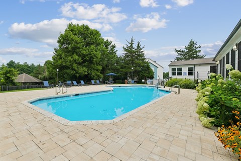 A swimming pool surrounded by a brick patio and trees.