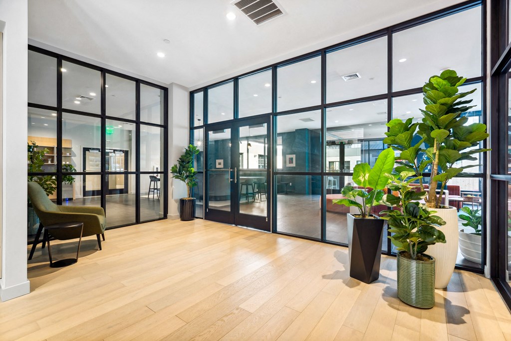 a room with large windows and potted plants