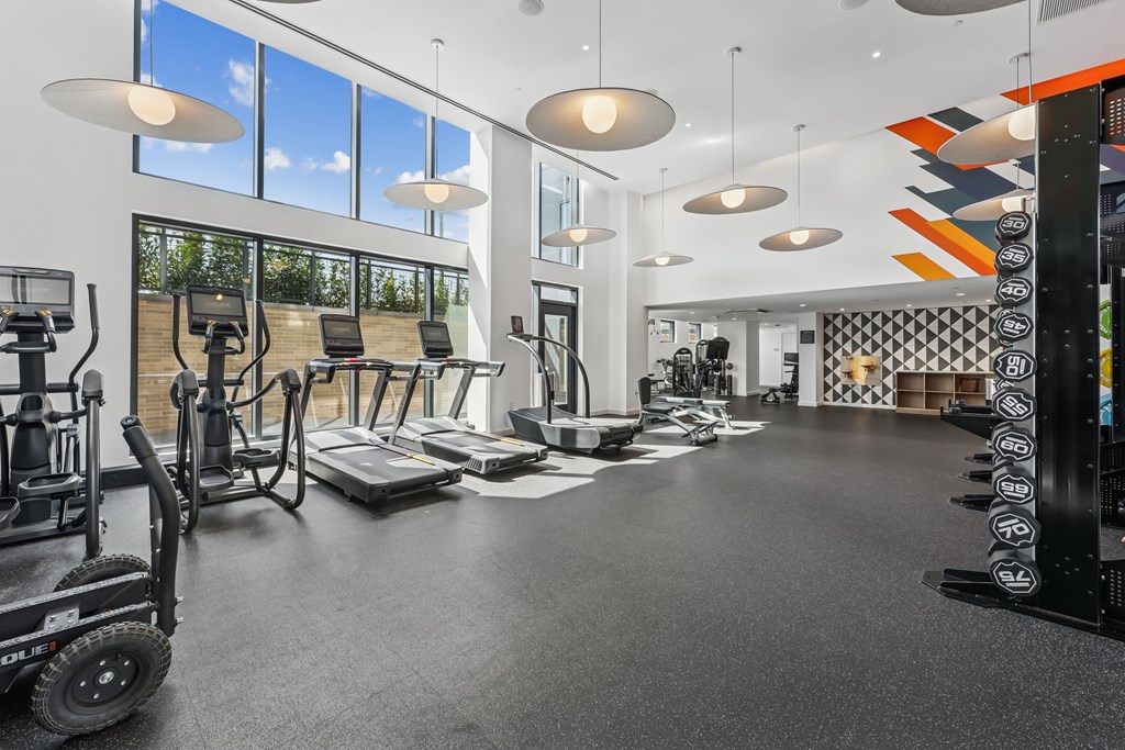 A gym with a variety of equipment including treadmills, stationary bikes, and weight machines.