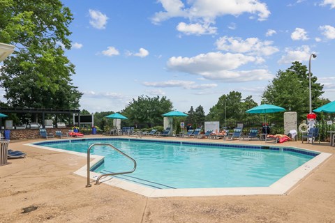 A large outdoor swimming pool surrounded by trees and umbrellas.