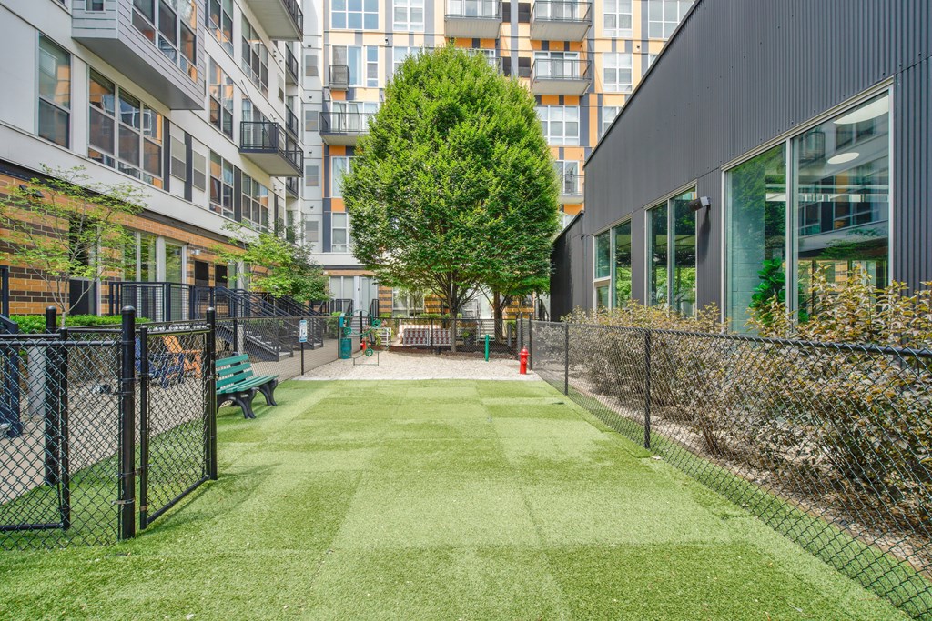 A grassy area in front of a building with a tree in the middle.