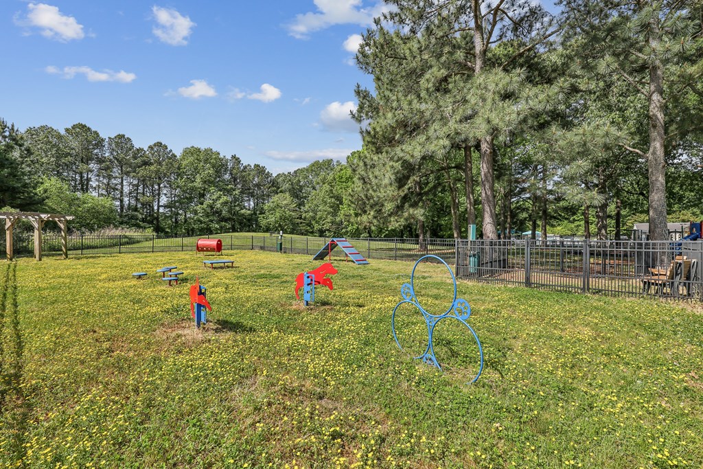 children playing in the park on a sunny day
