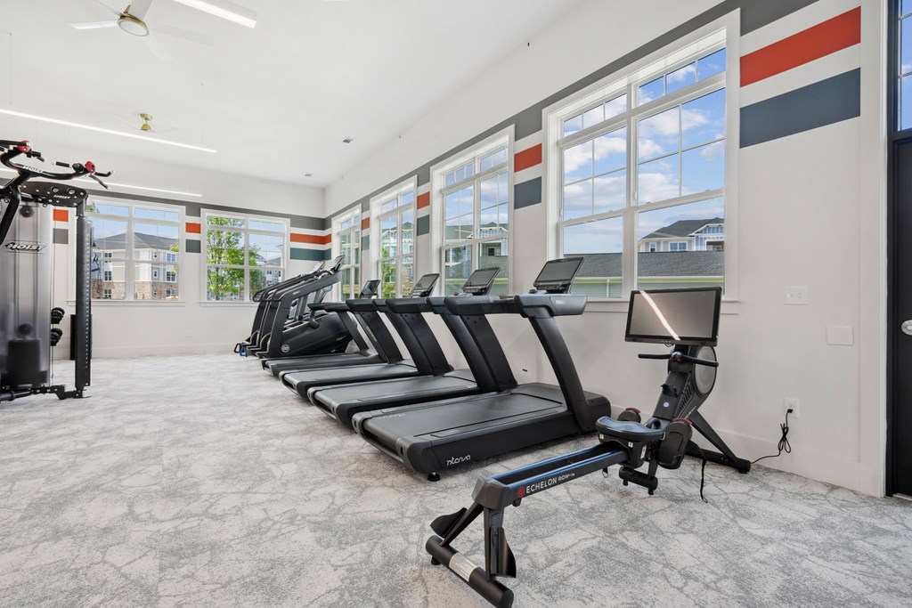 A row of treadmills are lined up in a gym.