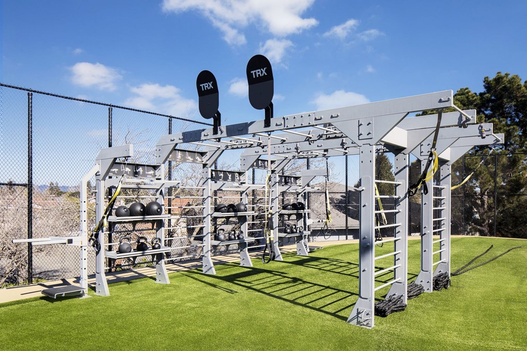 a gym with weights and equipment on a grass field