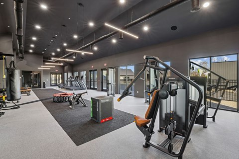 the gym at the house