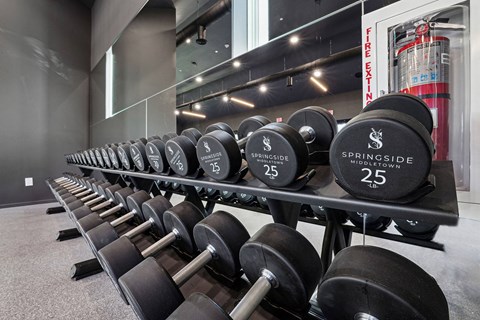 a gym with weights and a row of dumbbells