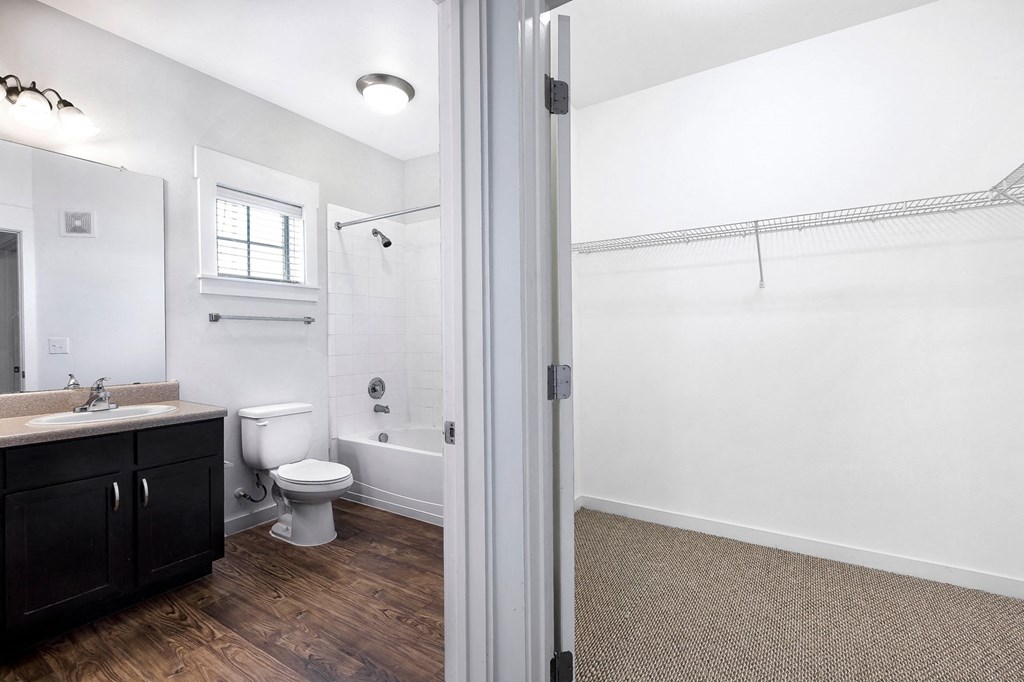 Bathroom and Walk-in Closet