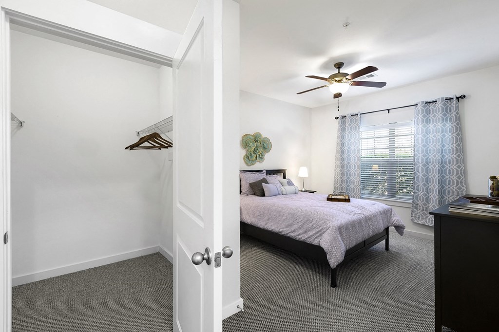 Bedroom and Walk-in Closet