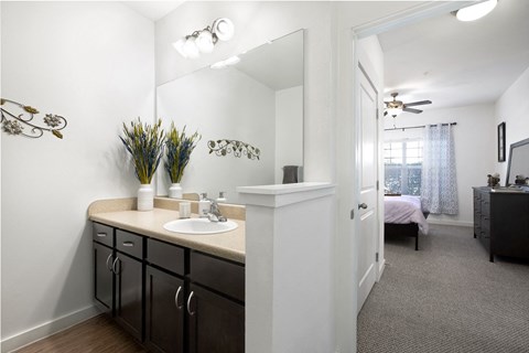 Bathroom Vanity