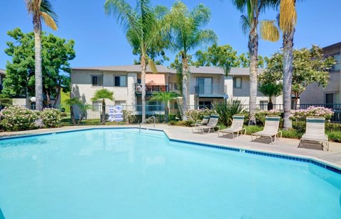 a swimming pool with palm trees and a building in the background