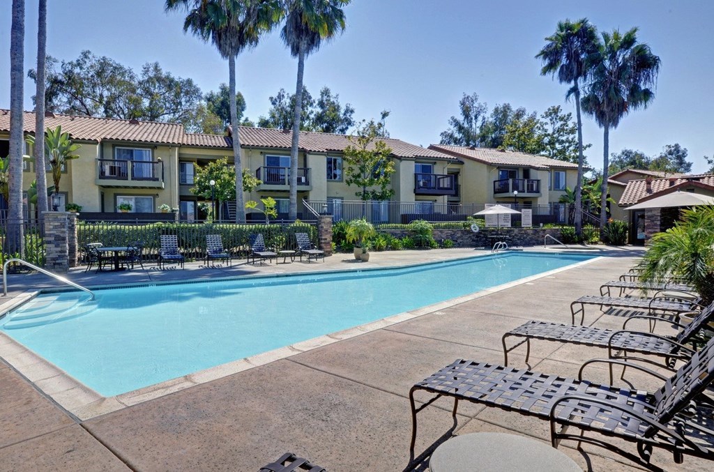 our apartments have a swimming pool with chairs and palm trees