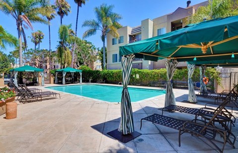the swimming pool at the preserve at polo apartments