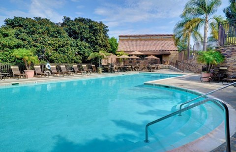 a swimming pool at a resort with palm trees