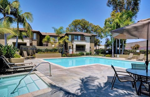 the swimming pool at the preserve at polo apartments fl