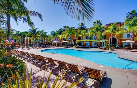a large swimming pool with chairs and palm trees