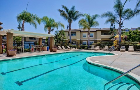 the swimming pool at the resort with palm trees
