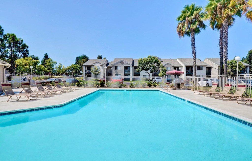the swimming pool at the preserve at polo apartments fl