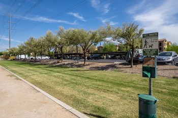 grassy area - Photo Gallery 16