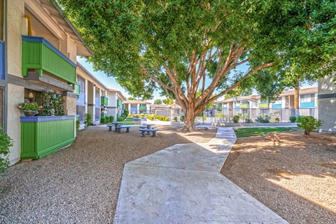 A courtyard with benches and trees in front of apartment homes at Westmount at Urban Trails, Mesa, 85202